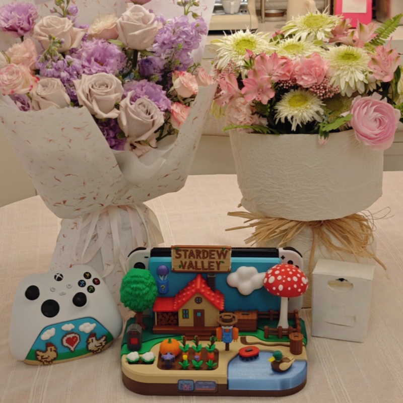 Switch Dock Stardew Valley Far – Gaming Console Setup Bewertung und Preis